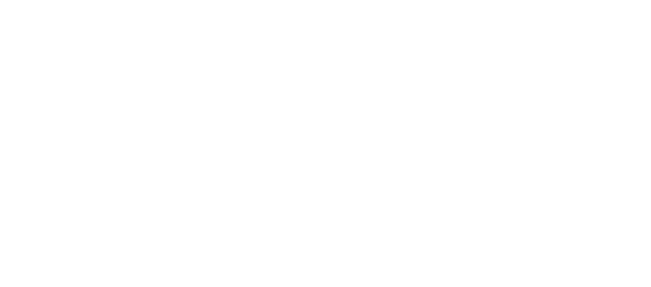 Cesarsky Propiedades